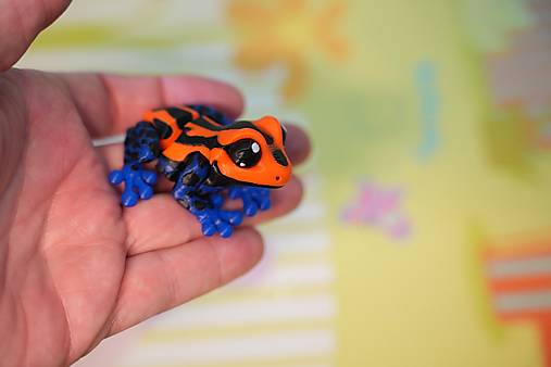 Farebná žabka – malá pralesná kráska