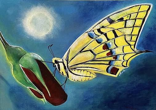 Obrazy - Motýlia noc – dotyk svetla v tichu - 17902519_