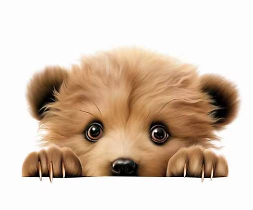 NZ102 Nažehľovačka macík 15 cm