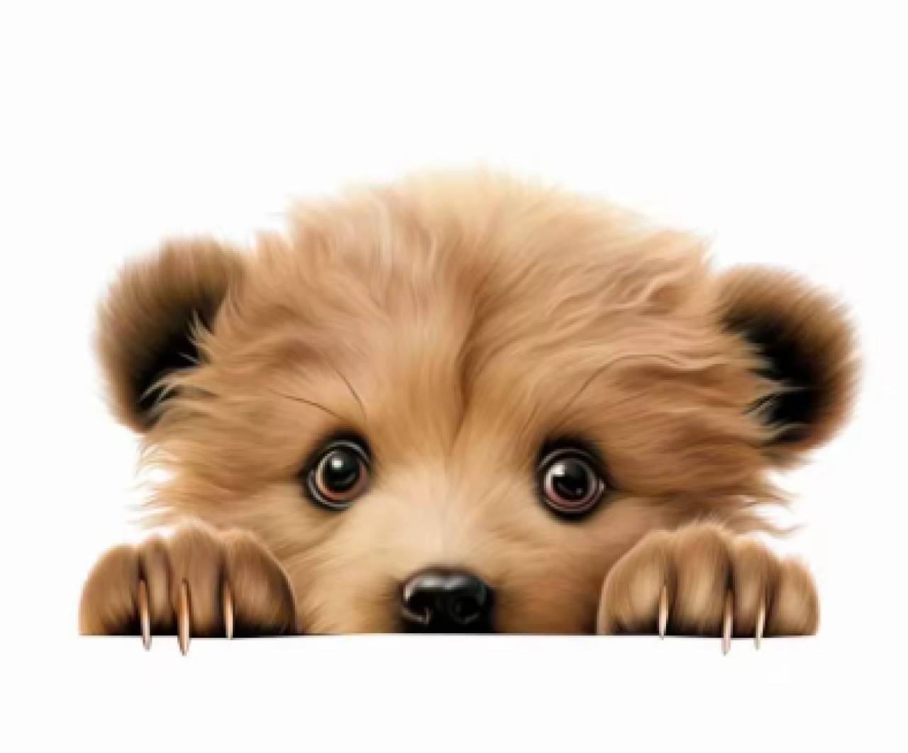 NZ102 Nažehľovačka macík 15 cm