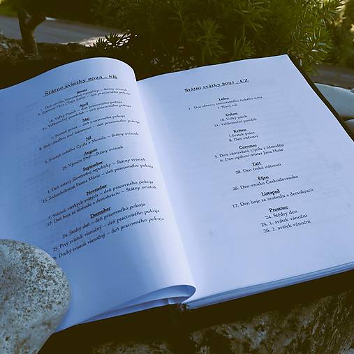 Diár  na rok 2026 TÝŽDENNÝ - A6 - fialový