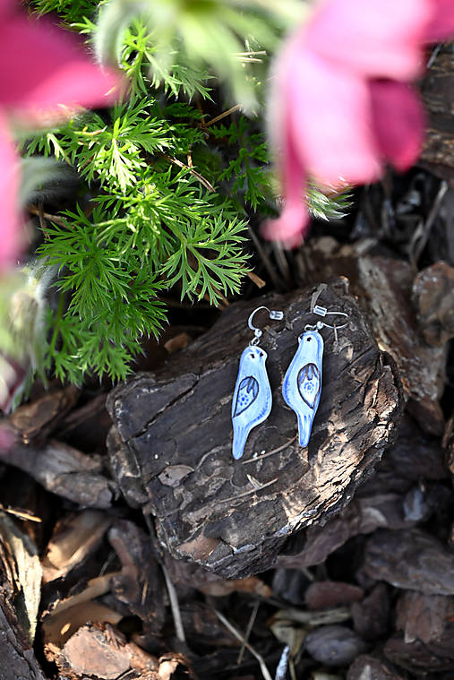 Náušnice - Náušnice vtáčik - 17907335_