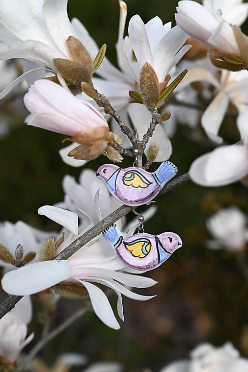 Náušnice - Náušnice vtáčik - 17907355_