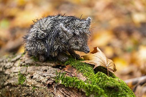 Hračky - Ježko s jemnými pichliačmi - 17913645_