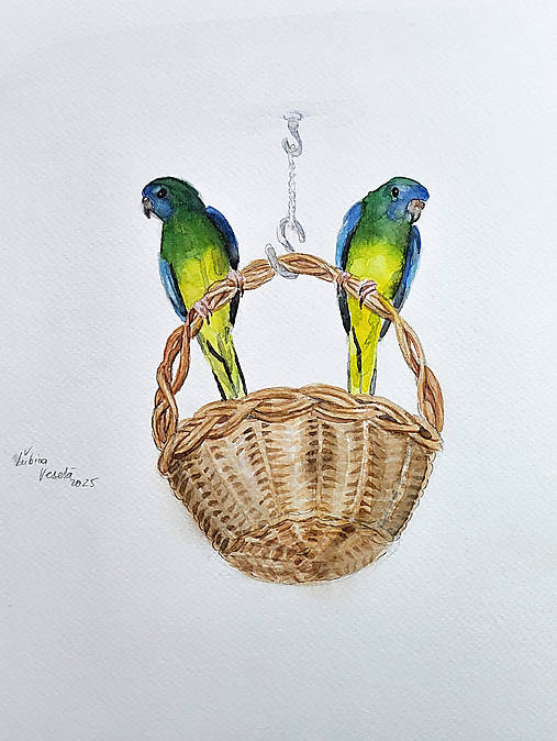 Obrazy - Na košíku sedíme - 17916034_