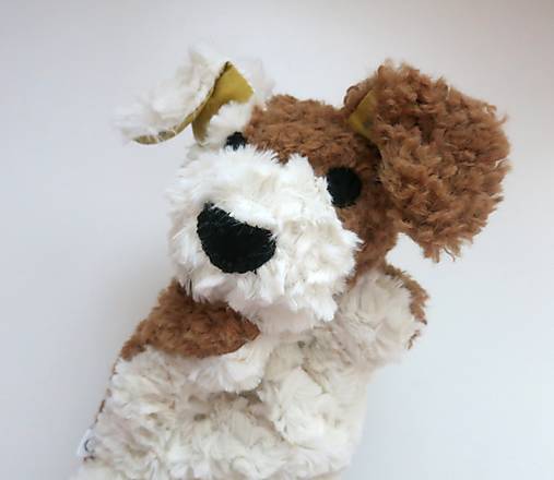 Maňuška psík chlpatý (Smotanovo hnedý s hviezdičkovými uškami)