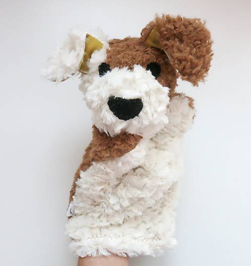 Maňuška psík chlpatý (Smotanovo hnedý s hviezdičkovými uškami)