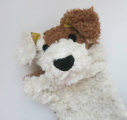 Maňuška psík chlpatý (Smotanovo hnedý s hviezdičkovými uškami)