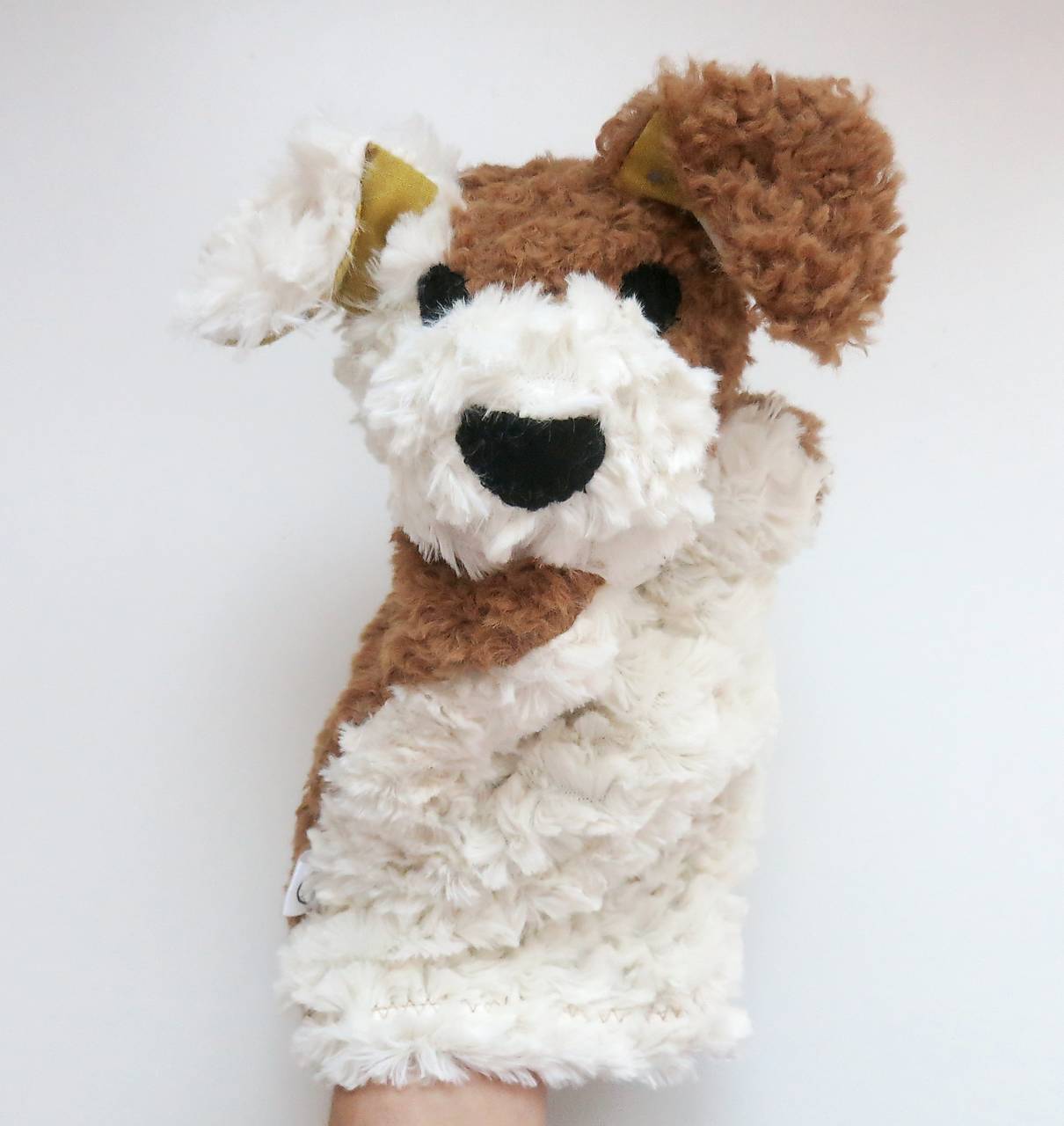 Maňuška psík chlpatý (Smotanovo hnedý s hviezdičkovými uškami)