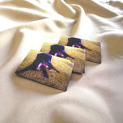 Magnetky s fotkou (3ks)