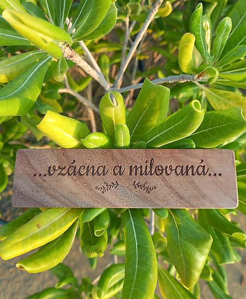 Papiernictvo - Drevená záložka - 17920510_