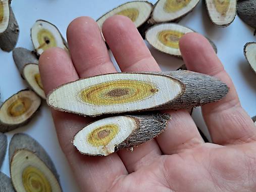 Dekorácie - Drevené plátky farebné - oválne malé, balenie 40 ks - 17924164_