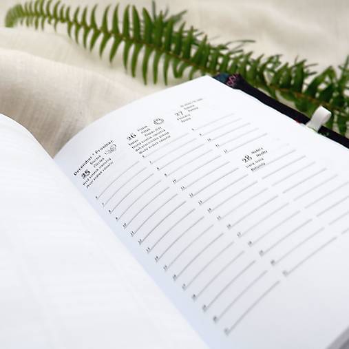 Diár  na rok 2026 TÝŽDENNÝ - A6 - Vlčie maky