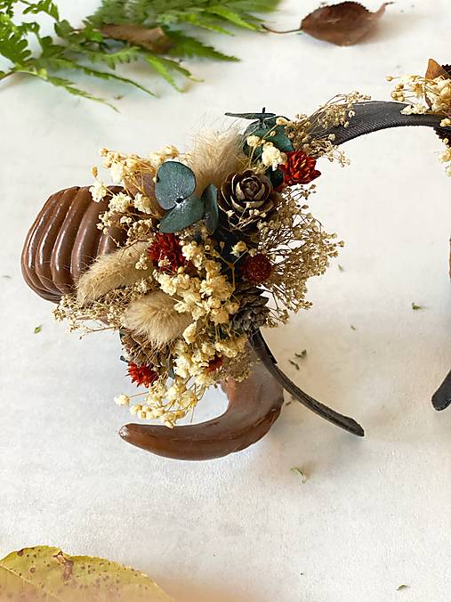 Korunka s rohmi "čaro lesných zákutí"