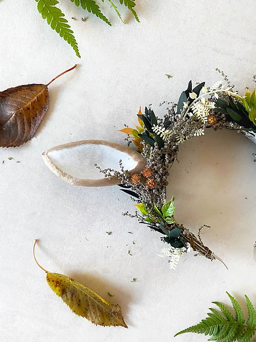 Korunka s uškami "srnky na čistine"