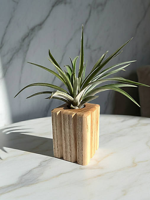 Dekorácie - Podstavec na tilandsiu - 17927518_