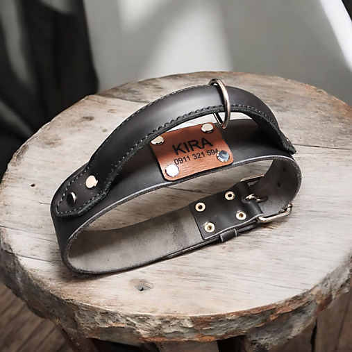 Obojok pre psíka s úchytom