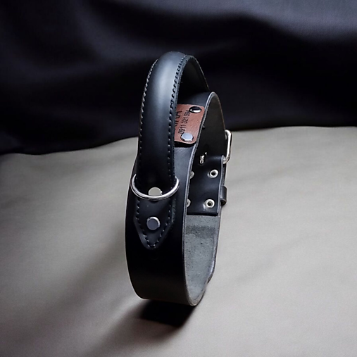 Obojok pre psíka s úchytom