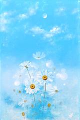  - Obraz Nebeské margarétky - olejomaľba - 17932428_