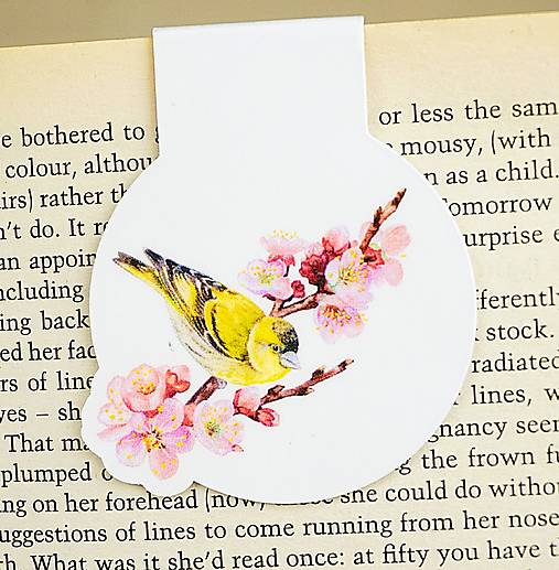 Magnetická záložka do knihy Vtáčiky (Jarná radosť)