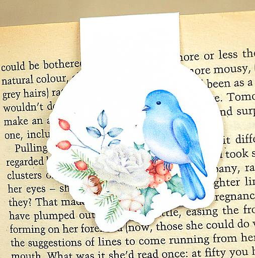 Magnetická záložka do knihy Vtáčiky (Prvý mráz)