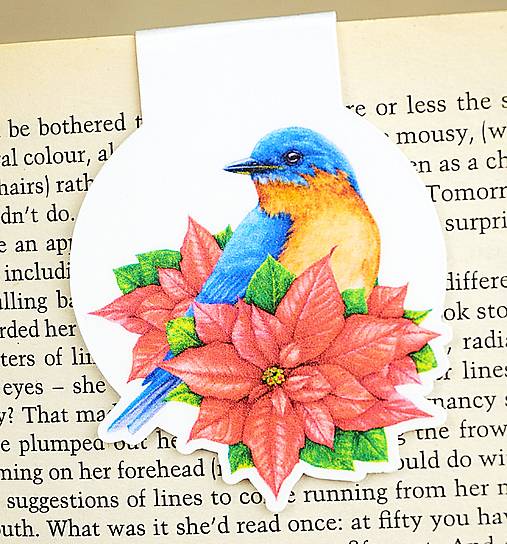 Magnetická záložka do knihy Vtáčiky (Vianočná hviezda)