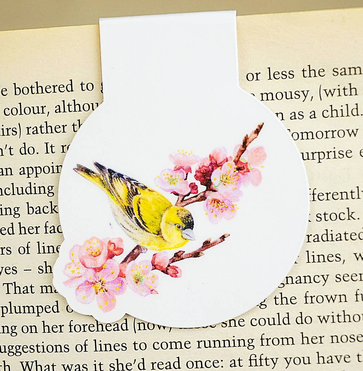 Magnetická záložka do knihy Vtáčiky