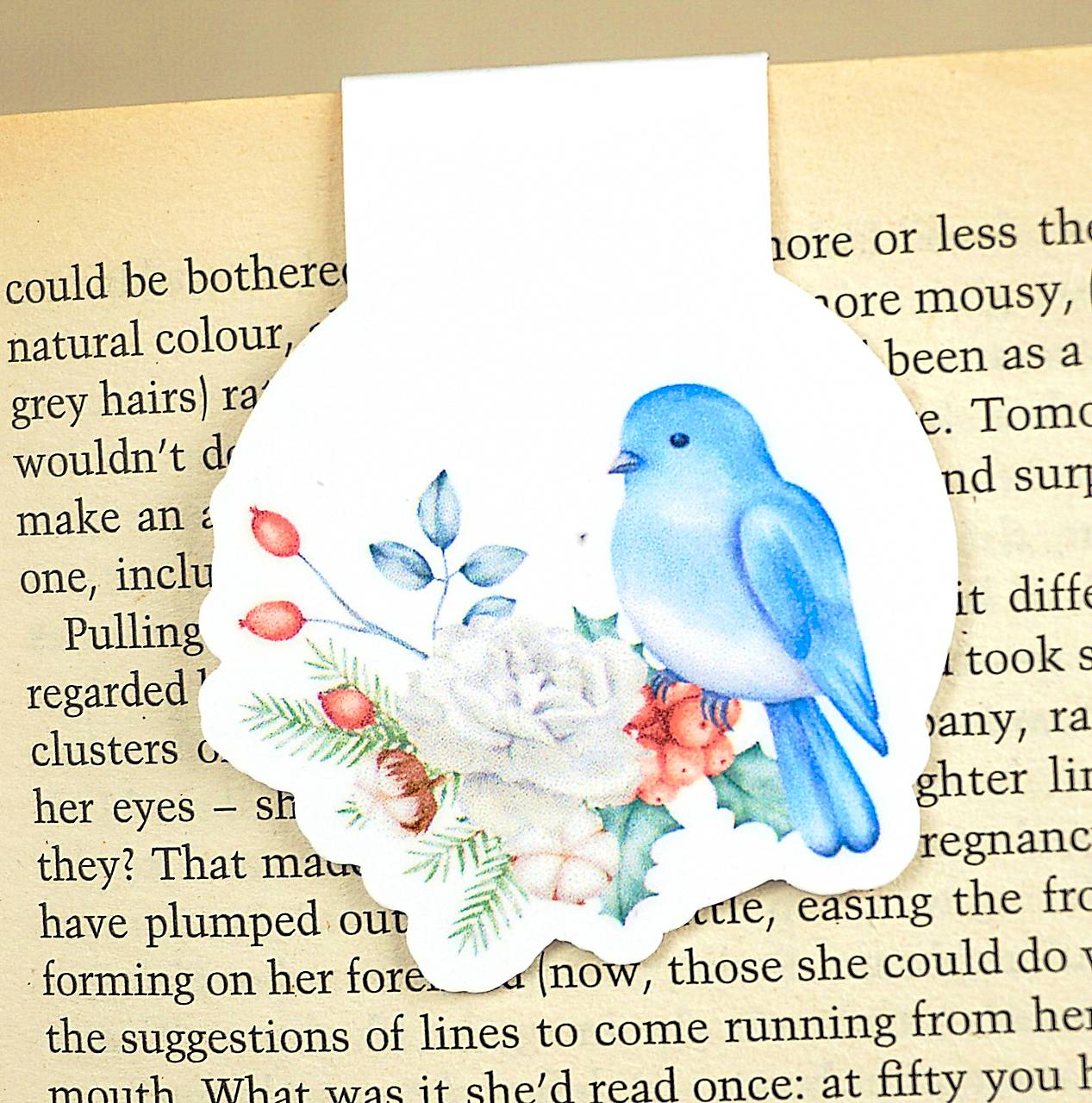 Magnetická záložka do knihy Vtáčiky (Prvý mráz)