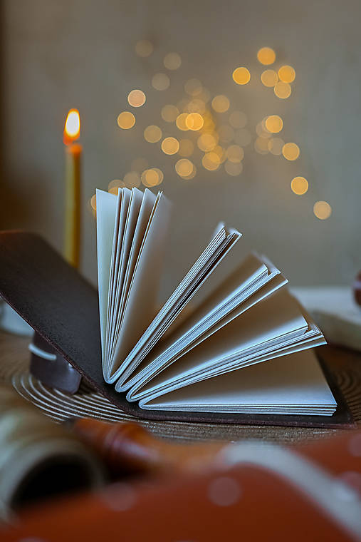 Kožený zápisník - Wilkie