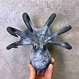 Sochy - C h o b o t n i c a - 17933346_