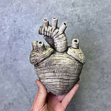 Sochy - S r d c e - 17933476_