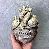 Sochy - S r d c e - 17933477_