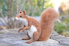 Dekorácie - Veverička - 17933076_