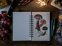 Papiernictvo - Ludwig - upcyklovaný zápisník/skicár - 17934265_