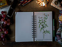 Papiernictvo - Ludwig - upcyklovaný zápisník/skicár - 17934269_