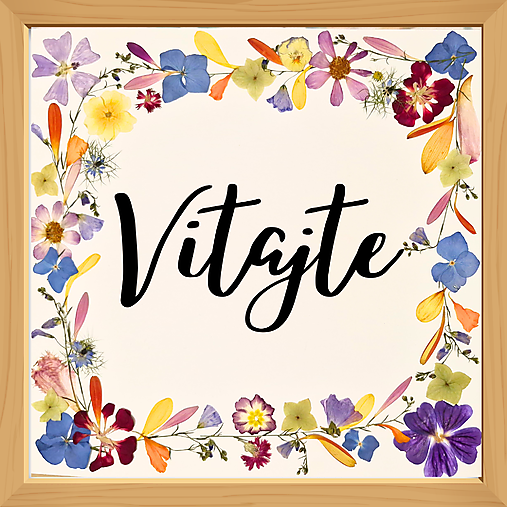 Obrazy - VITAJTE - 17941887_