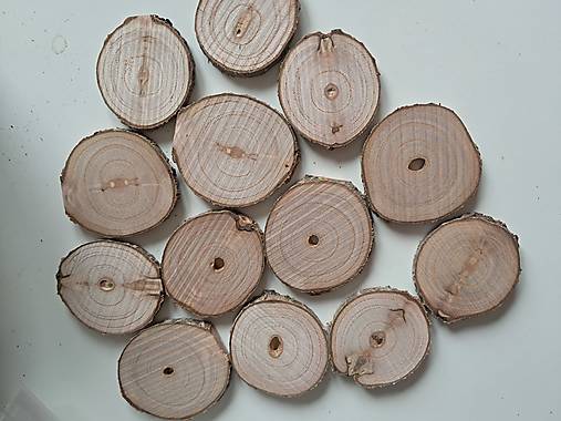 Dekorácie - Drevené plátky - paulownia - priemer cca 4 - 5 cm, balenie 12+1ks - 17942968_