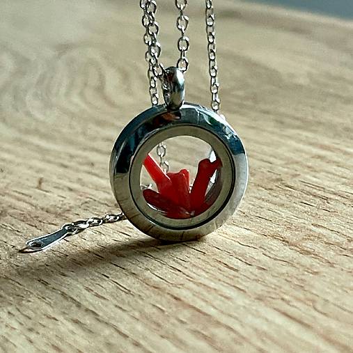 Steel Locket Coral Necklace / Oceľový medailón s koralmi E069