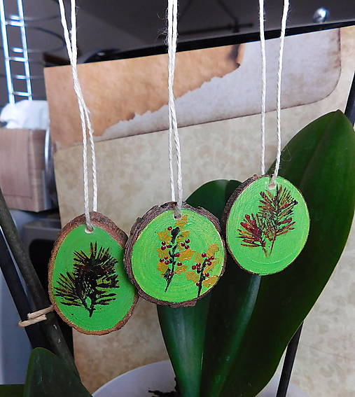 Dekorácie - drevená maľovaná sada rastlinky - totálny výpredaj! - 17947229_