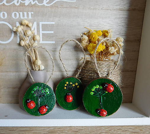 Dekorácie - lienky v prírode drevená maľovaná sada na zavesenie - totálny výpredaj! - 17947491_