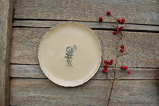 Nádoby - Keramický tanierik s rastlinou (Rastlina 2.) - 17947539_