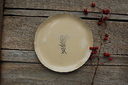 Nádoby - Keramický tanierik s rastlinou (Rastlina 3.) - 17947540_