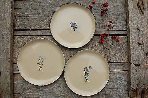 Nádoby - Keramický tanierik s rastlinou - 17950863_