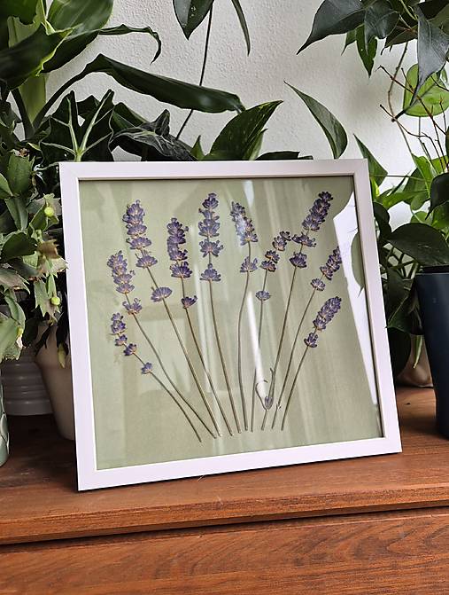 Obrazy - Lavender touch - obraz z lisovaných kvetov - 17950016_