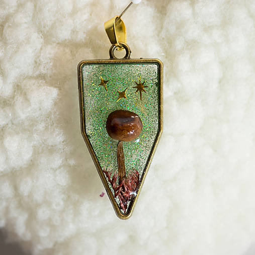 Náhrdelníky - Prívesok zo živice so skutočnou hubou – ručne vyrábaný šperk z prírody - 17954759_