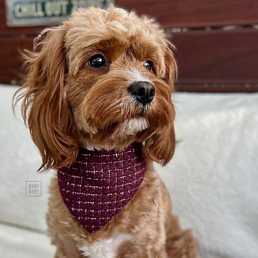 Pre zvieratá - MARYBARY Štýlová bandana / šatka pre psa - bordovo-zlatá - 17959701_