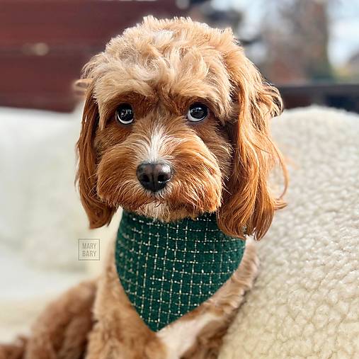 Pre zvieratá - MARYBARY Štýlová bandana / šatka pre psa - zeleno-zlatá - 17959716_