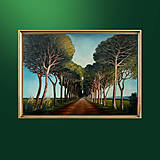 Obrazy - Stromová alej 50x70 - 17964750_