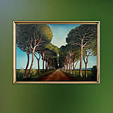 Obrazy - Stromová alej 50x70 - 17964763_