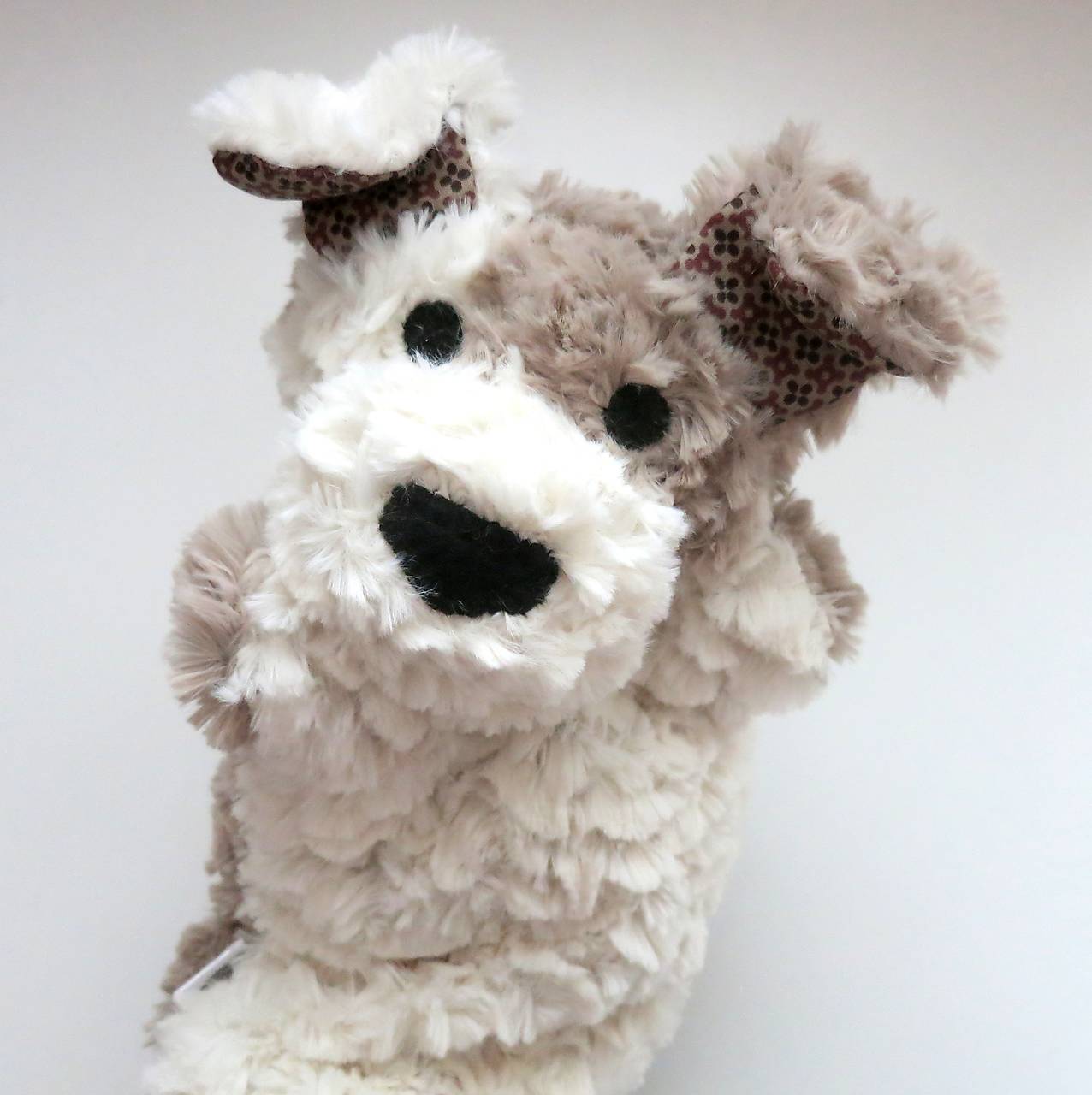 Maňuška psík chlpatý - Smotanosivohnedý s hnedými uškami